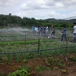 #10621 Alunos conhecem vivência de agricultores no semiárido
