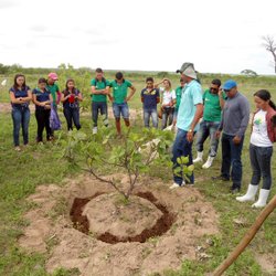 #10728 Alunos têm aula prática em assentamento rural
