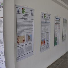 #10739 Trabalhos de alunos retratam Crateús por meio de imagens e mapas