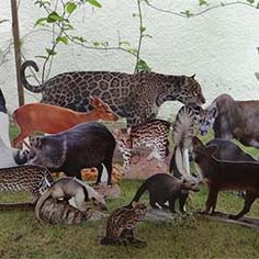 #10976 Campus de Crateús abriga exposição com réplicas de animais da Caatinga