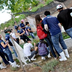 #10996 Alunos vivenciam experiências agroecológicas