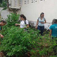 #11085 Alunos ministram oficinas de horticultura em Crateús