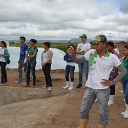 #11095 Alunos conhecem tecnologias na produção de sorgo