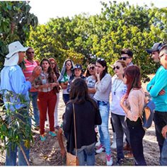 #11175 Alunos de Crateús vivenciam prática em fruticultura