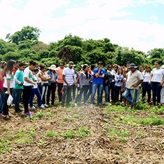 #11183 Alunos de Crateús conhecem práticas agroecológicas