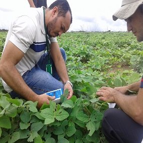 #11202 Estudantes visitam fazenda de soja