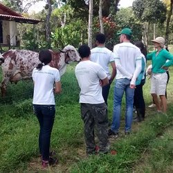 #11223 Alunos aprimoram conhecimentos sobre produção rural 