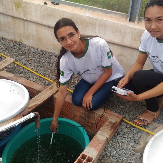 #11434 Docente realiza pesquisas com morango em cultivo hidropônico
