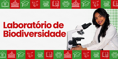 lab