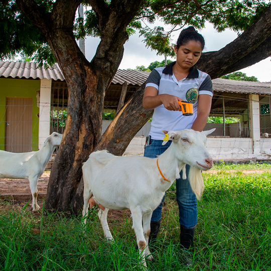 #13805 Programa de residência agrícola abre novas vagas
