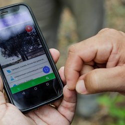 #13843 App mapeia flora e bens históricos do Parque Sítio Fundão