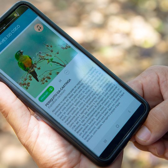 #13893 App para observação de aves será lançado domingo