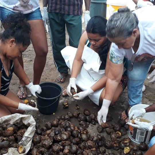 #14051 Comunidade recebe curso de produção de mudas de pequi