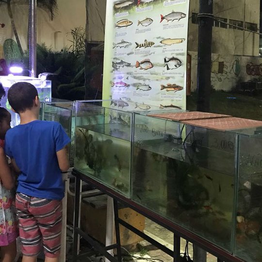 #14081 Praça da Sé, no Crato, recebe Feira de Peixes Ornamentais