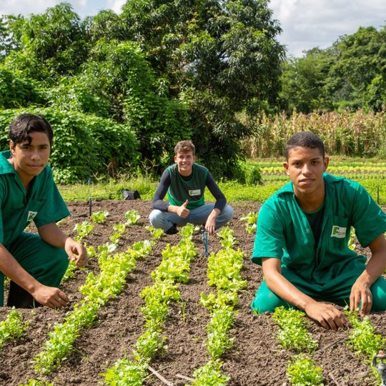 #14087 IFCE oferta 40 vagas para curso técnico em Agropecuária no Crato