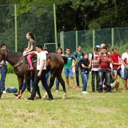 #14454 Equoterapia é destaque na Semana do Cavalo