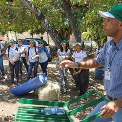 #14482 Projetos levam alternativas de alimentação animal a produtores rurais