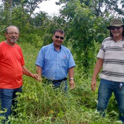 #14550 Crato recebe representantes de empresa de sementes