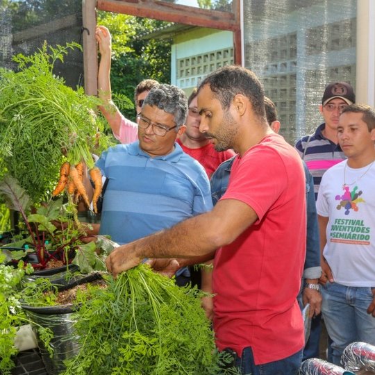 #14612 Curso de cultivo hidropônico abre nova turma