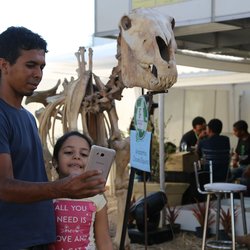 #14649 Esqueleto de égua é atração na Expocrato