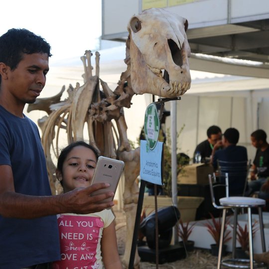 #14649 Esqueleto de égua é atração na Expocrato