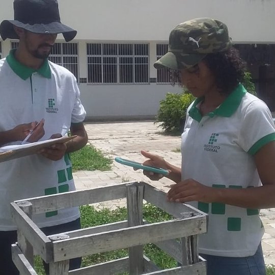 #14702 Estudantes realizam inventário de plantas frutíferas do campus