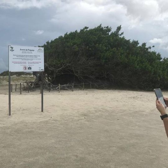 #14766 Ecomapss é inaugurado no Parque Nacional de Jericoacoara