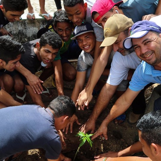 #14823 Turma de 85/87 é homenageada com plantio de árvore