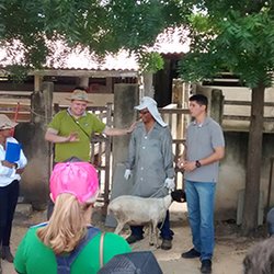 #14874 Estudantes participam de dia de campo na Embrapa