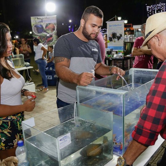 #14903 Campus e Prefeitura levam Feira de Peixes Ornamentais para a Praça da Sé