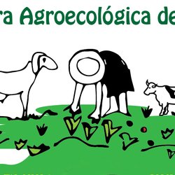 #16426 1ª Feira Agroecológica de Tauá é promovida por IFCE e parceiros