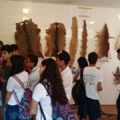 #16722 Estudantes de Tauá participam de aula de campo
