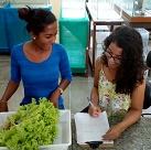 #16875 Alunos e docentes de Aquicultura desenvolvem Aquaponia