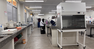 Lab. Integrado