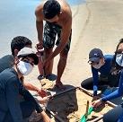 #17054 Pesquisadores de Acaraú estudam efeitos do 'microplástico' em Jericoacoara