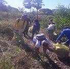 #17185 Ecomangue realiza mutirão de limpeza em manguezal