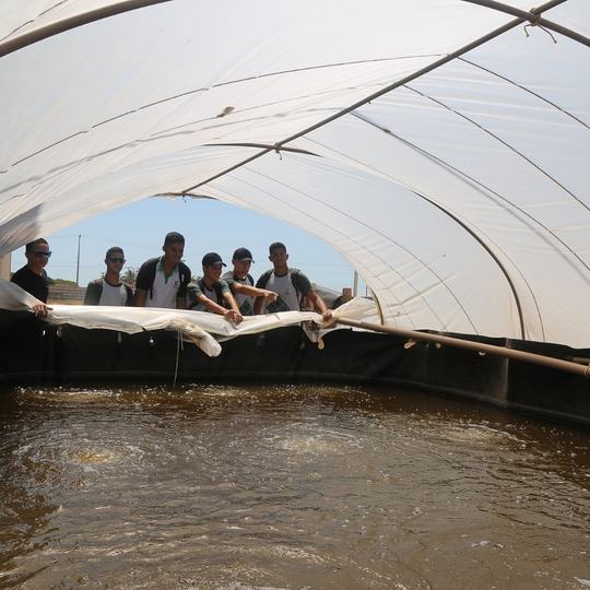 #18049 Aracati lança edital para bolsas de residência agrícola