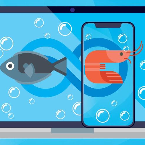 #19293 Seminário Aquicultura Online abre inscrições gratuitas