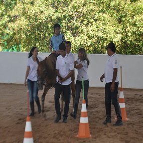 #19609 Experiências Exitosas são destaque na Reditec