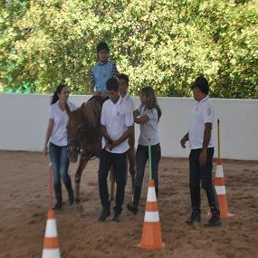 #19609 Experiências Exitosas são destaque na Reditec