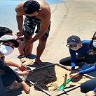 #1978 Ecomangue retoma pesquisas no Parque Nacional de Jericoacoara