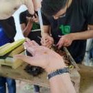#20542 Aula de campo pratica colheita de mel em Crateús