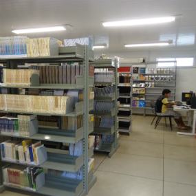 #21173 Biblioteca de Limoeiro duplica exemplares