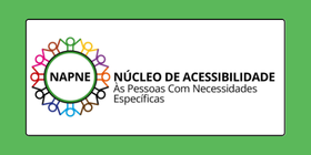 logo napne