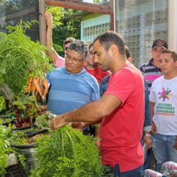 #3053 Curso de cultivo hidropônico abre nova turma