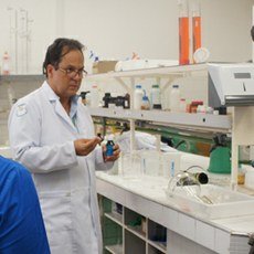 #7380 Aedes aegypti:aprenda a fazer aromatizante