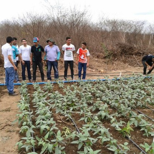 Agropecuaria Umirim