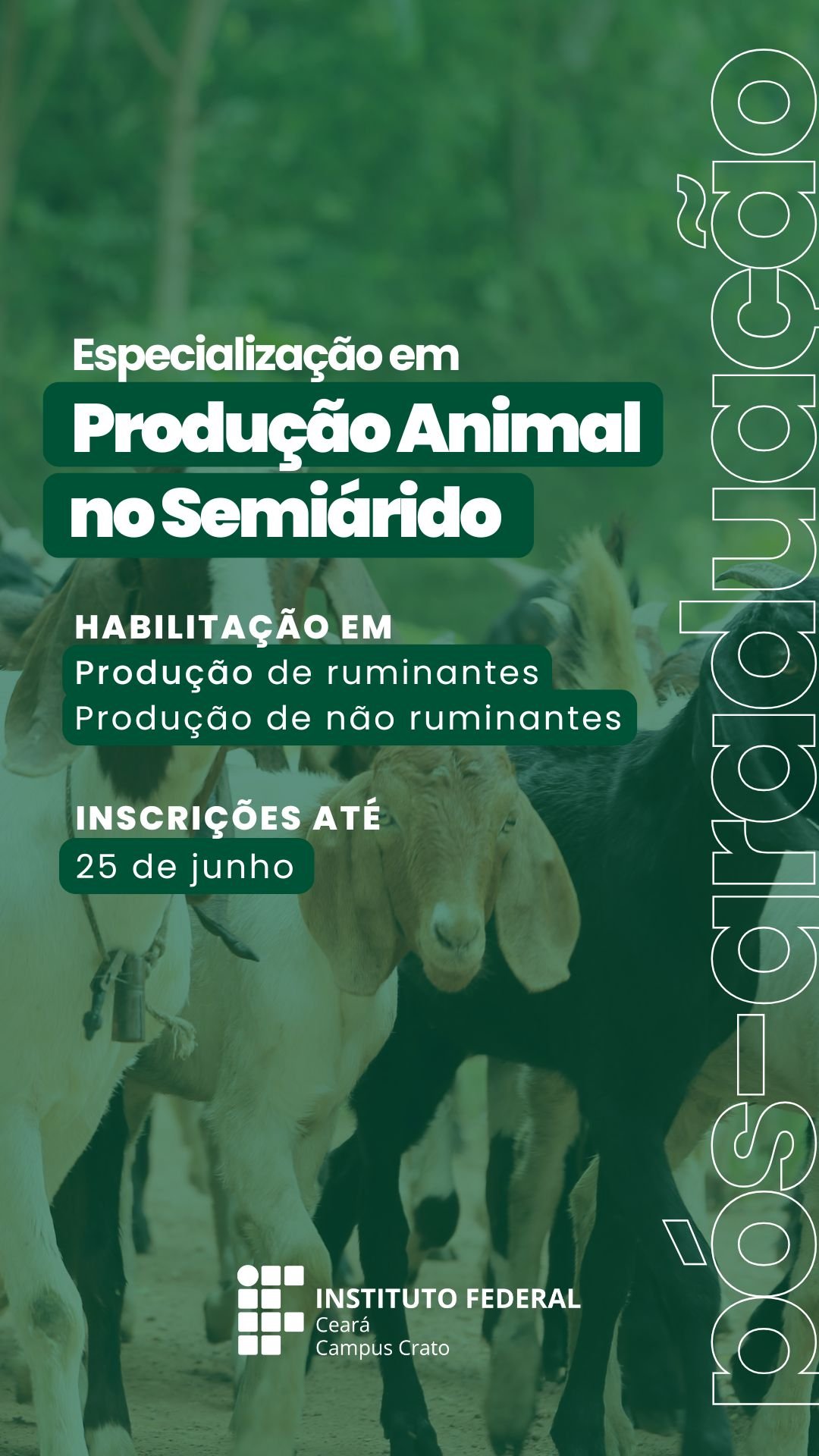 Pós-graduação em Produção Animal