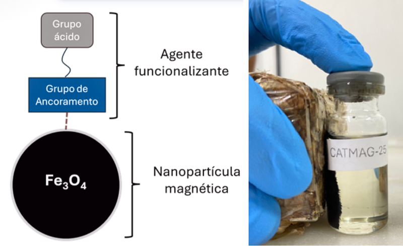 CATMAG 25: Inovação em Catálise Magnética para Processos Sustentáveis