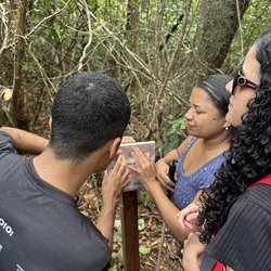 Destaque_Complexo do Caldas